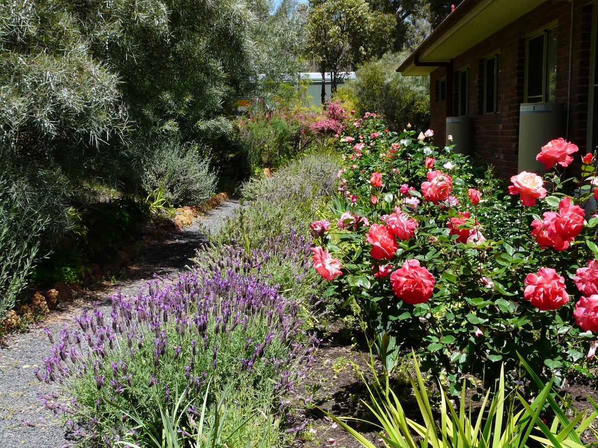 Country Charm Retreat B&B Donnybrook Екстер'єр фото